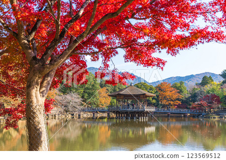 [Autumn leaves] Ukimido Hall in Nara Park in autumn 123569512