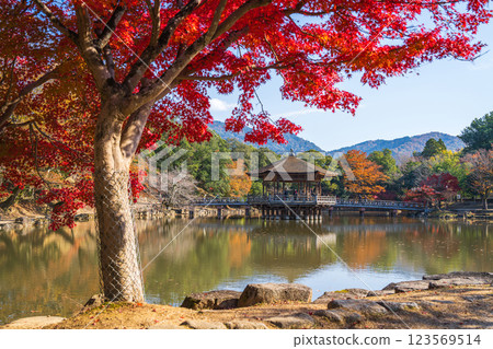 [紅葉] 秋季的奈良公園浮見堂 123569514