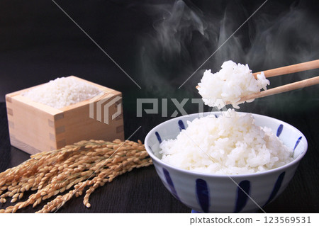 米飯和白米飯 米飯和白米飯 123569531