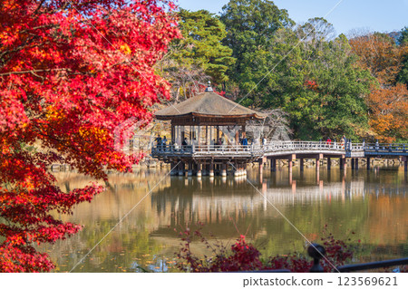[紅葉] 秋季的奈良公園浮見堂 123569621