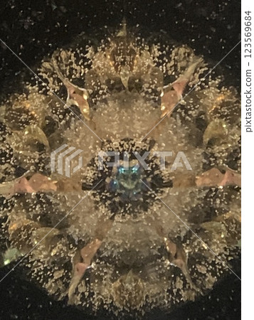 Kaleidoscope 2 Kaleidoscope 2 123569684