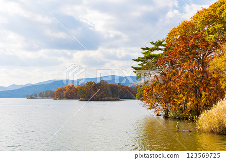 北海道的秋天：小沼市大沼公園的紅葉 123569725