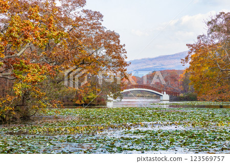 北海道的秋天：大沼公園的紅葉 123569757