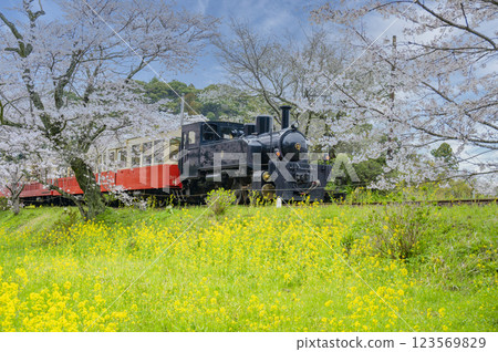 Kominato Railway Iikyu Station Steam Locomotive 123569829
