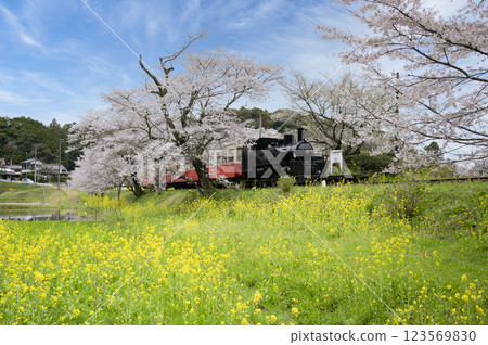 小湊鐵道飯宮車站蒸汽機車 123569830