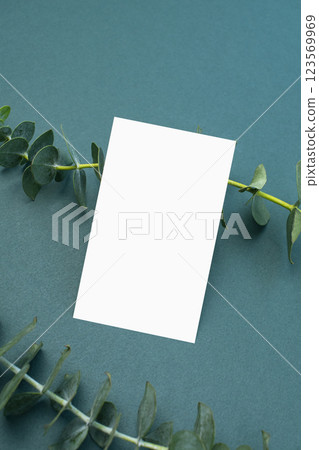 Minimal mock-up, plant and card mock-up 123569969