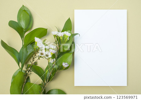 Minimal mock-up, plant and card mock-up 123569971
