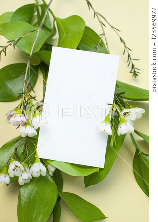 Minimal mock-up, plant and card mock-up 123569972