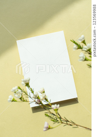 Minimal mock-up, plant and card mock-up 123569988