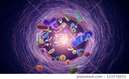 An image of colorful and diverse intestinal bacteria floating in the intestines, a 3D illustration of the intestinal flora An image of colorful and diverse intestinal bacteria floating in the intestines, a 3D illustration of the intestinal flora 123570055