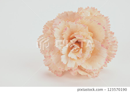 Artificial flowers in the background 11 Artificial flowers in the background 11 123570190