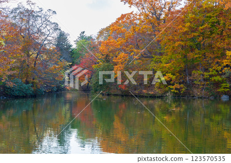 北海道的秋天:大沼公園的紅葉 北海道的秋天:大沼公園的紅葉 123570535