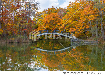 北海道的秋天:大沼公園的紅葉 北海道的秋天:大沼公園的紅葉 123570536