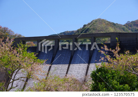 Discharge of water from the Dainichigawa Dam in Minamiawaji City, Hyogo Prefecture 123570575