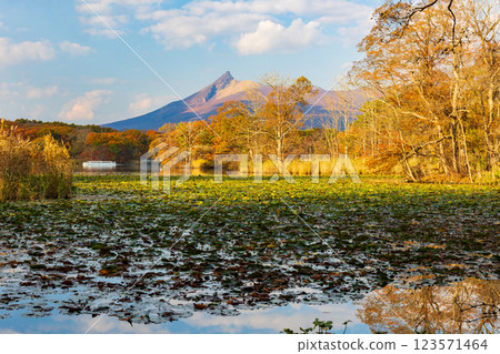 北海道的秋天：大沼公園的紅葉、小沼湖和黃昏的北海道駒岳 123571464
