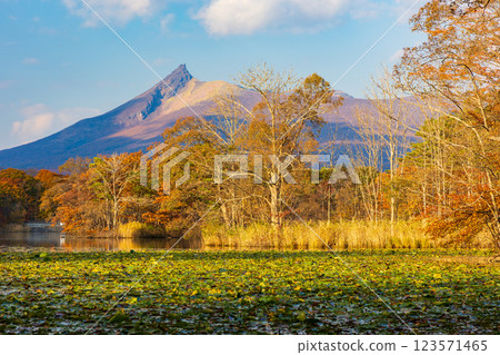 北海道的秋天:大沼公園的紅葉、小沼湖和黃昏的北海道駒岳 北海道的秋天:大沼公園的紅葉、小沼湖和黃昏的北海道駒岳 123571465
