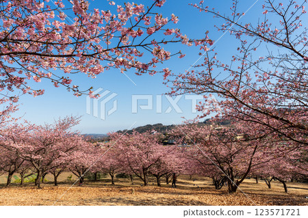 Ooi Yumeno Sato - View from an area where Mt. Fuji cannot be seen 123571721