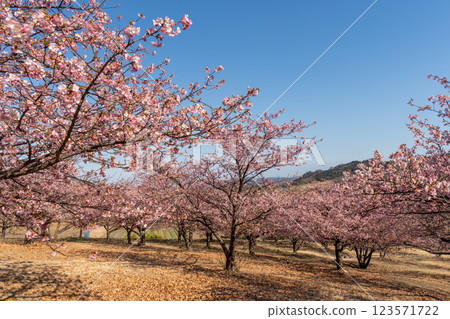 大井夢乃佐藤 - 從看不到富士山的地方看到的風景 123571722