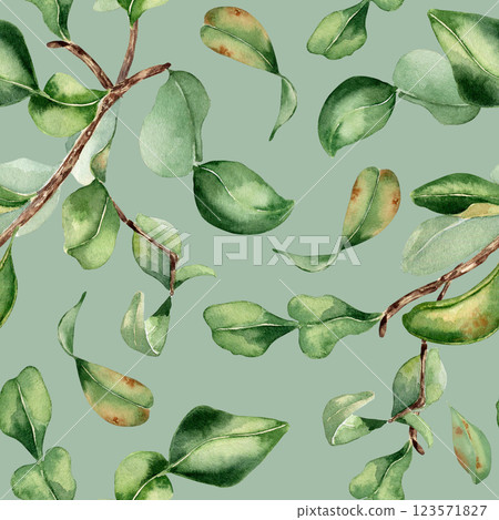 Seamless pattern with citrus tree branches and green leaves in watercolor. Hand drawn bergamot sprigs on a repeating background isolated. Perfect for fabric, wallpaper, and botanical packaging design. Seamless pattern with citrus tree branches and green leaves in watercolor. Hand drawn bergamot sprigs on a repeating background isolated. Perfect for fabric, wallpaper, and botanical packaging design. 123571827