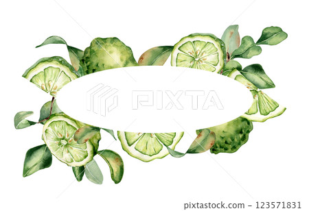 Wreath with bergamot plants and ripe fruits hand painted watercolor, isolated on white. Fruit tree citrus branches and leaves drawing. Bright summer wreath with bergamot segments in botanical sketch. 123571831