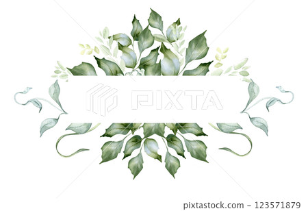 Holly branches and leaves watercolor border isolated on white. Soft leaves in sage green colors botanical sketch hand drawn. Greenery for packaging, natural cosmetics. Invitation with vintage foliage Holly branches and leaves watercolor border isolated on white. Soft leaves in sage green colors botanical sketch hand drawn. Greenery for packaging, natural cosmetics. Invitation with vintage foliage 123571879