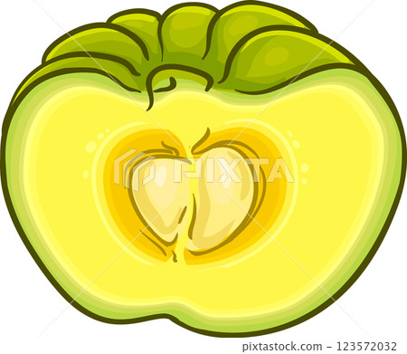 Garcinia Branch with Flowers Fruits and Leaves Colored Detailed Illustration. 123572032