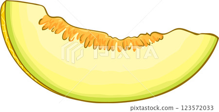 Melon Fruits Colored Detailed Illustration 123572033