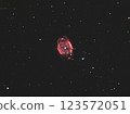 星星 星 星體 123572051