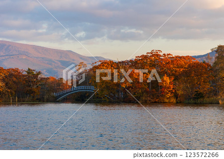 Hokkaido in autumn: Autumn leaves at Onuma Park, Onuma at dusk 123572266