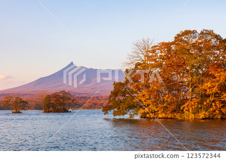 Autumn in Hokkaido: Autumn leaves at Onuma Park, Lake Onuma and Mt. Hokkaido Komagatake at dusk 123572344