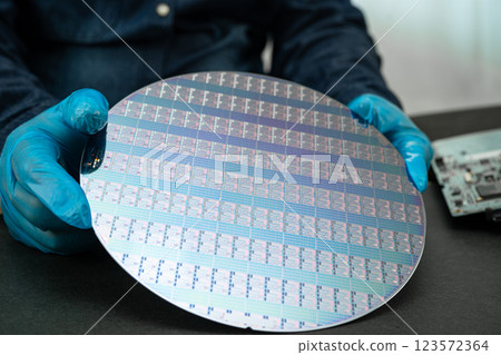 Silicon wafer for manufacturing semiconductor of integrated circuit. Silicon wafer for manufacturing semiconductor of integrated circuit. 123572364