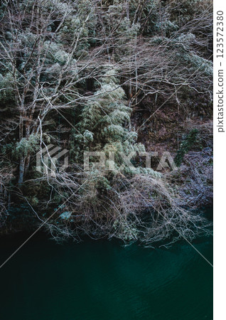 薄雪覆蓋的樹木和西川的水面【久米地峽】 薄雪覆蓋的樹木和西川的水面【久米地峽】 123572380