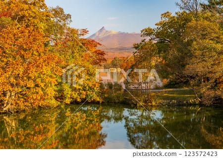 Autumn in Hokkaido: Autumn leaves at Onuma Park 123572423