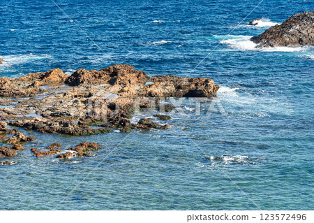 碧海藍天 下田 爪木崎 123572496