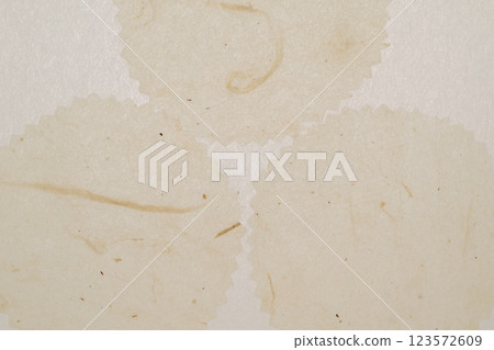 由和紙（楮紙）製成的背景材料 123572609