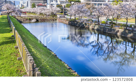 春天的小田原城公園：大堀端通沿路的櫻花樹倒映在水面上 [神奈川縣小田原市] 123572808