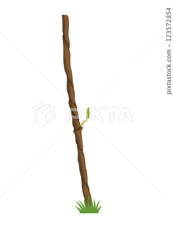 Growing Grapevine Bearing Plants and Vines Growing Grapevine Bearing Plants and Vines 123572854