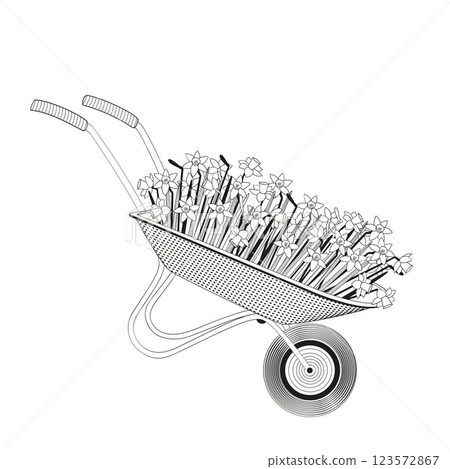 garden wheelbarrow plain with daffodils on white background black and white vector illustration 123572867