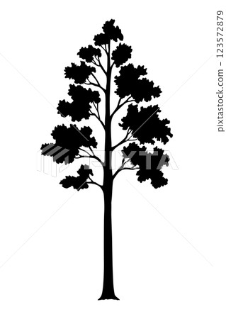 Trees black silhouette, natural wild landscape. Refined digital illustration capturing essence of tree in striking black silhouette. Vector foreground of woodland Trees black silhouette, natural wild landscape. Refined digital illustration capturing essence of tree in striking black silhouette. Vector foreground of woodland 123572879