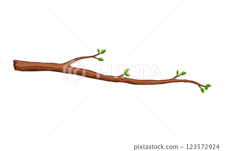 Tree branch. Leafy plants twig, fresh greenery. Deciduous bush sprout on white background. Vector isolated botanical decoration element Tree branch. Leafy plants twig, fresh greenery. Deciduous bush sprout on white background. Vector isolated botanical decoration element 123572924