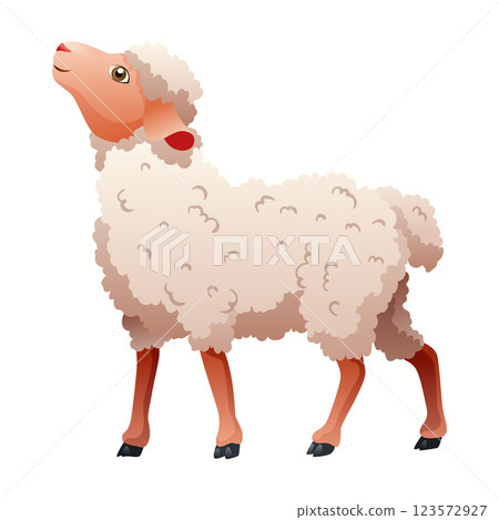 Small cartoon sheep. Lamb flat vector illustration. Funny baby sheep with curly wool. Farm animal art isolated on white background Small cartoon sheep. Lamb flat vector illustration. Funny baby sheep with curly wool. Farm animal art isolated on white background 123572927
