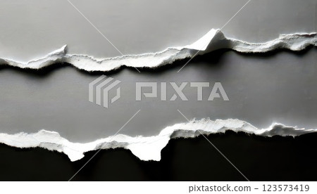 AI Image: White and black torn paper texture 123573419
