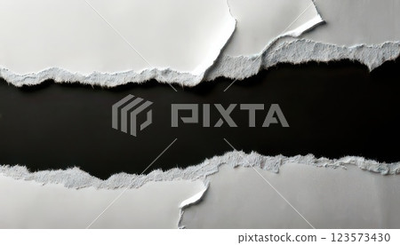 AI Image: White and black torn paper texture AI Image: White and black torn paper texture 123573430