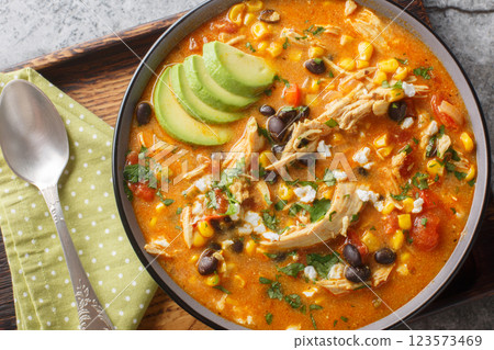 Mexican food Chicken enchilada soup spicy, hearty, and thick closeup on the plate. Horizontal top view Mexican food Chicken enchilada soup spicy, hearty, and thick closeup on the plate. Horizontal top view 123573469