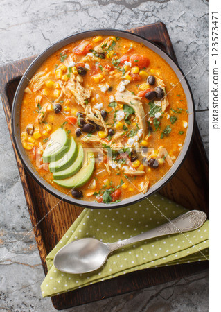 Chicken Enchilada Soup is creamy, thick, very comforting, and delicious closeup on the plate. Vertical top view 123573471