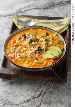 Chicken Enchilada Soup is creamy, thick, very comforting, and delicious closeup on the plate. Vertical Chicken Enchilada Soup is creamy, thick, very comforting, and delicious closeup on the plate. Vertical 123573476