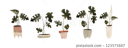 Watercolor set with jungle monstera leaves in pots isolated on white. Botanical clip art hand drawn with watercolor and pencil. mixed media 123573887