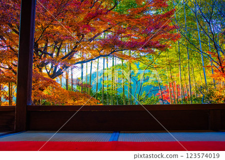 [Kyoto Scenery] Hosen-in Temple: A garden dyed in autumn leaves just before dusk 123574019