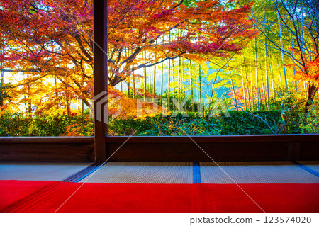 [Kyoto Scenery] Hosen-in Temple: A garden dyed in autumn leaves just before dusk 123574020