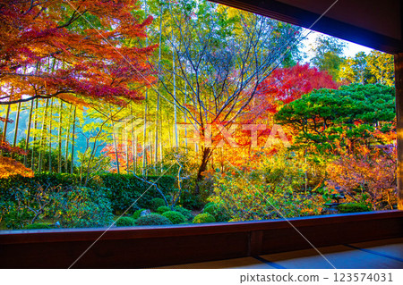 [Kyoto Scenery] Hosen-in Temple: A garden dyed in autumn leaves just before dusk 123574031